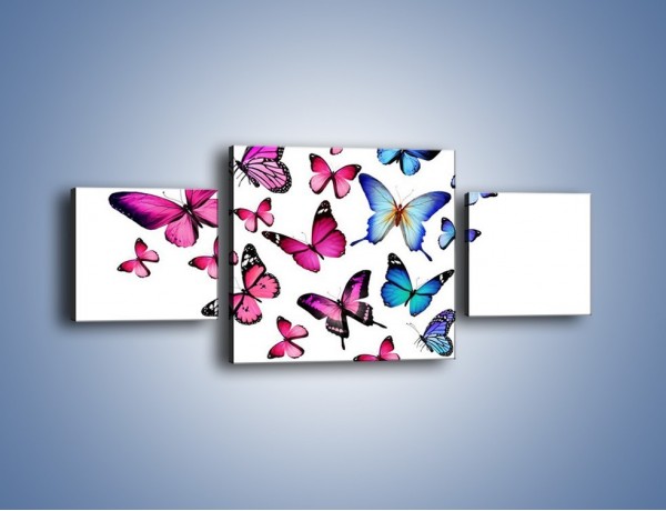 Obraz na płótnie – Rodzina kolorowych motyli – trzyczęściowy Z235W4