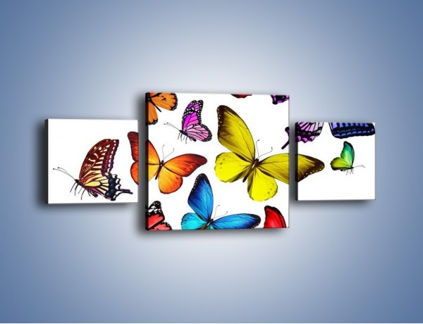 Obraz na płótnie – Kolorowo wśród motyli – trzyczęściowy Z236W4