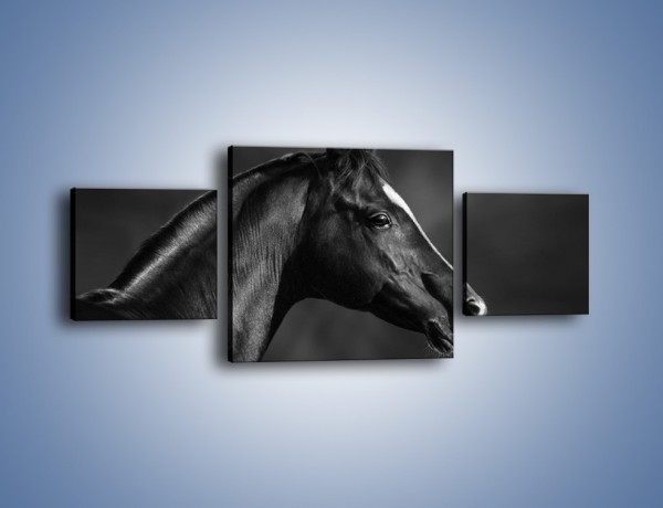 Obraz na płótnie – Zadumane spojrzenie konia – trzyczęściowy Z238W4