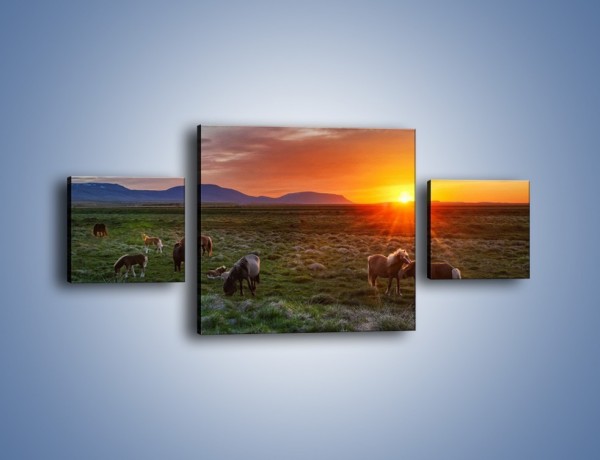 Obraz na płótnie – Konne stado o zachodzie słońca – trzyczęściowy Z249W4