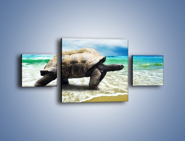 Obraz na płótnie – Jak tu nie kochać żółwi – trzyczęściowy Z251W4