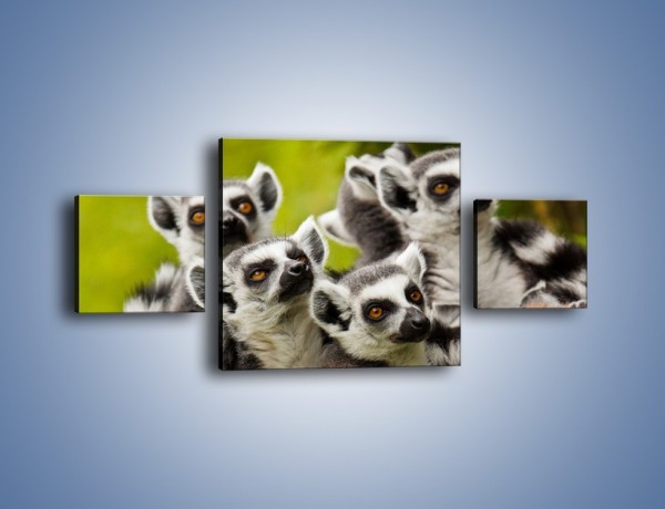Obraz na płótnie – Wszystko wiedzące lemury – trzyczęściowy Z259W4