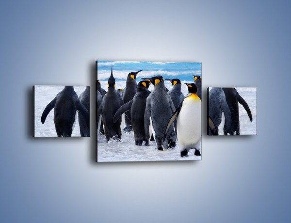Obraz na płótnie – Narada pingwiniej rodziny – trzyczęściowy Z272W4