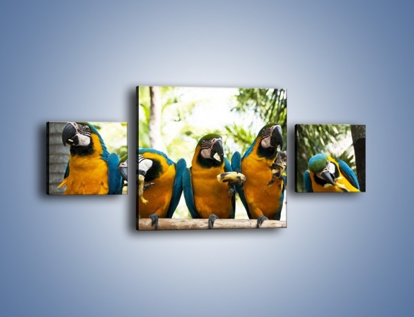 Obraz na płótnie – Piknik z papugami – trzyczęściowy Z322W4