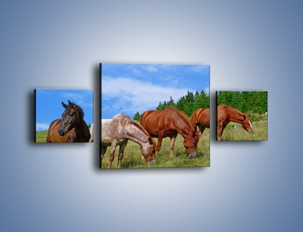 Obraz na płótnie – Spokój las i konie – trzyczęściowy Z330W4