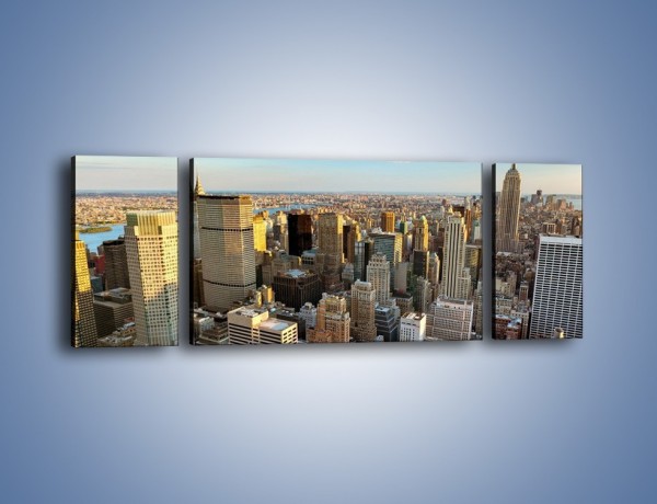 Obraz na płótnie – Manhattan w Nowym Yorku – trzyczęściowy AM412W5
