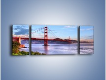 Obraz na płótnie – Most Golden Gate w San Francisco – trzyczęściowy AM444W5