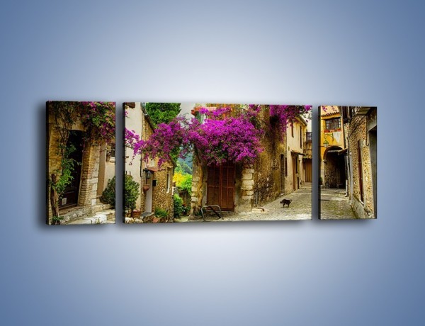 Obraz na płótnie – Stare miasto na Prowansji – trzyczęściowy AM529W5