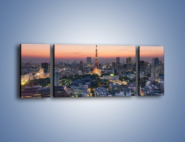 Obraz na płótnie – Tokyo o poranku – trzyczęściowy AM633W5