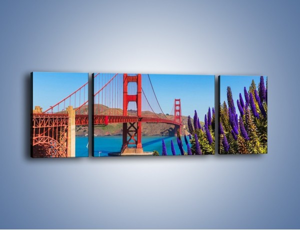 Obraz na płótnie – Golden Gate pod błękitnym niebem – trzyczęściowy AM644W5