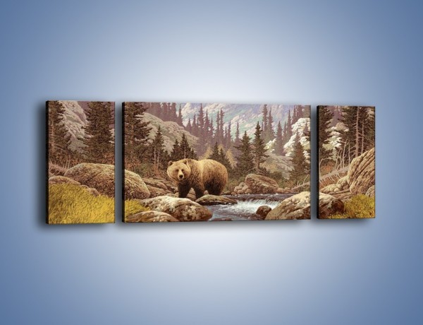 Obraz na płótnie – Uwaga na niedźwiedzia – trzyczęściowy GR183W5