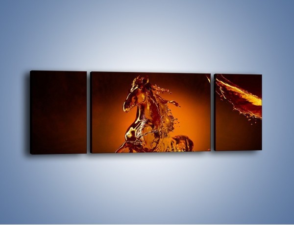Obraz na płótnie – Wodny koń w mocnym świetle – trzyczęściowy GR228W5