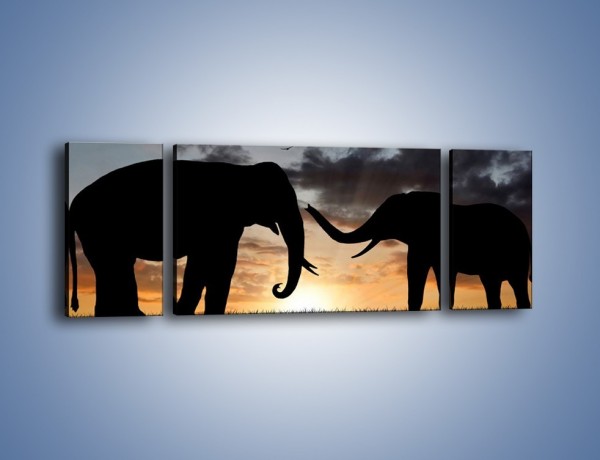 Obraz na płótnie – Dyskusja wśród słoni – trzyczęściowy GR309W5