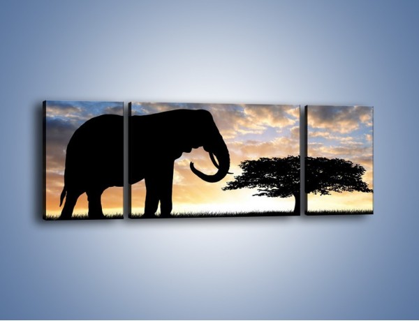Obraz na płótnie – Samotność wśród słoni – trzyczęściowy GR317W5