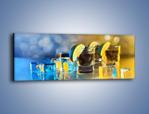 Obraz na płótnie – Zimne shoty z limonką – jednoczęściowy panoramiczny JN294