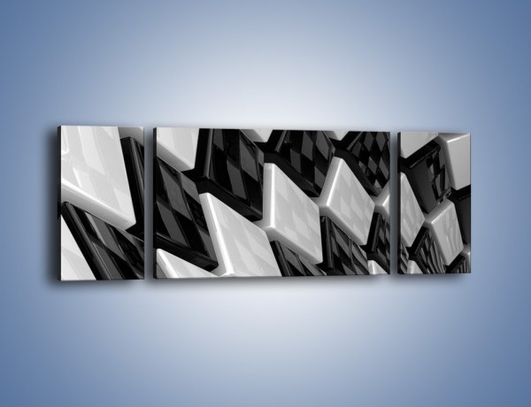 Obraz na płótnie – Czarne czy białe – trzyczęściowy GR425W5
