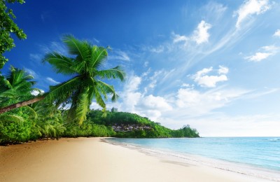 Czystość rajskiej plaży - KN848