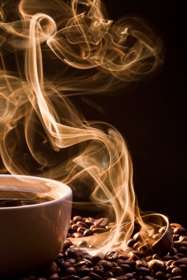 Kawa owiana tajemnicą - JN524