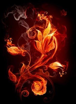 Kwiat w płomieniach - GR526