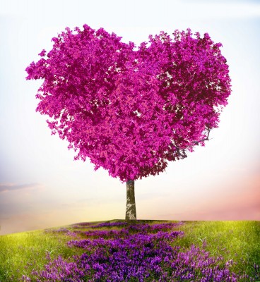 Miłość w kolorze purpury - GR624