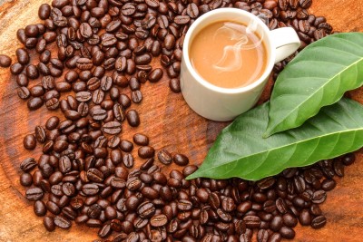 Ziarna kawy pod liściem - JN417