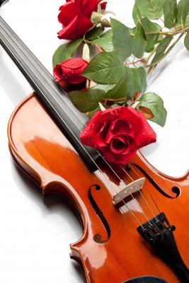 Róże na instrumencie - K907